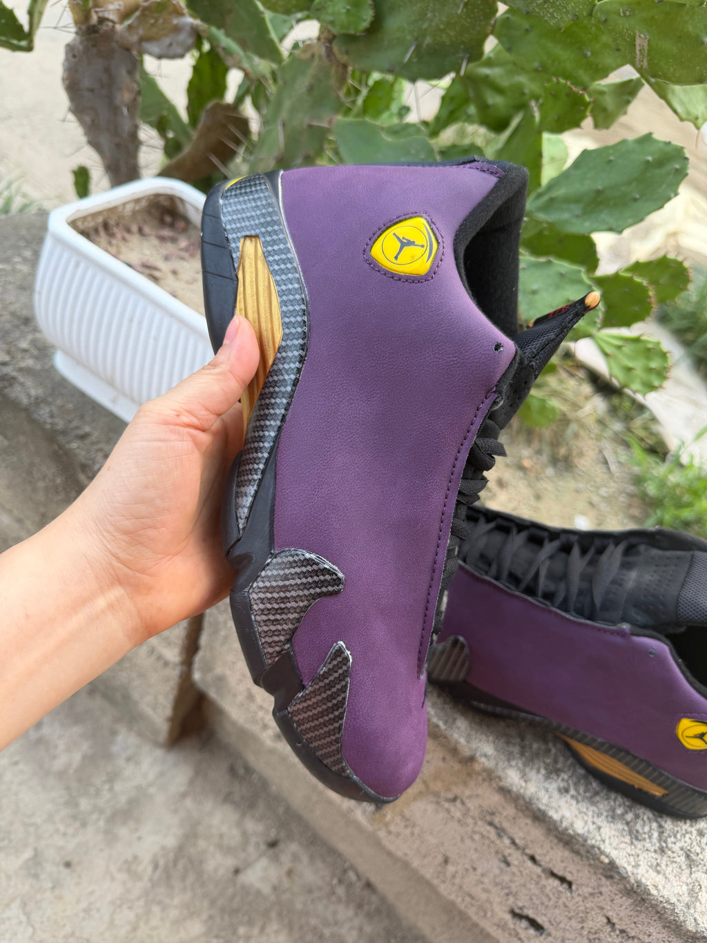 Air Jordan 14 Retro 'Purple Black'