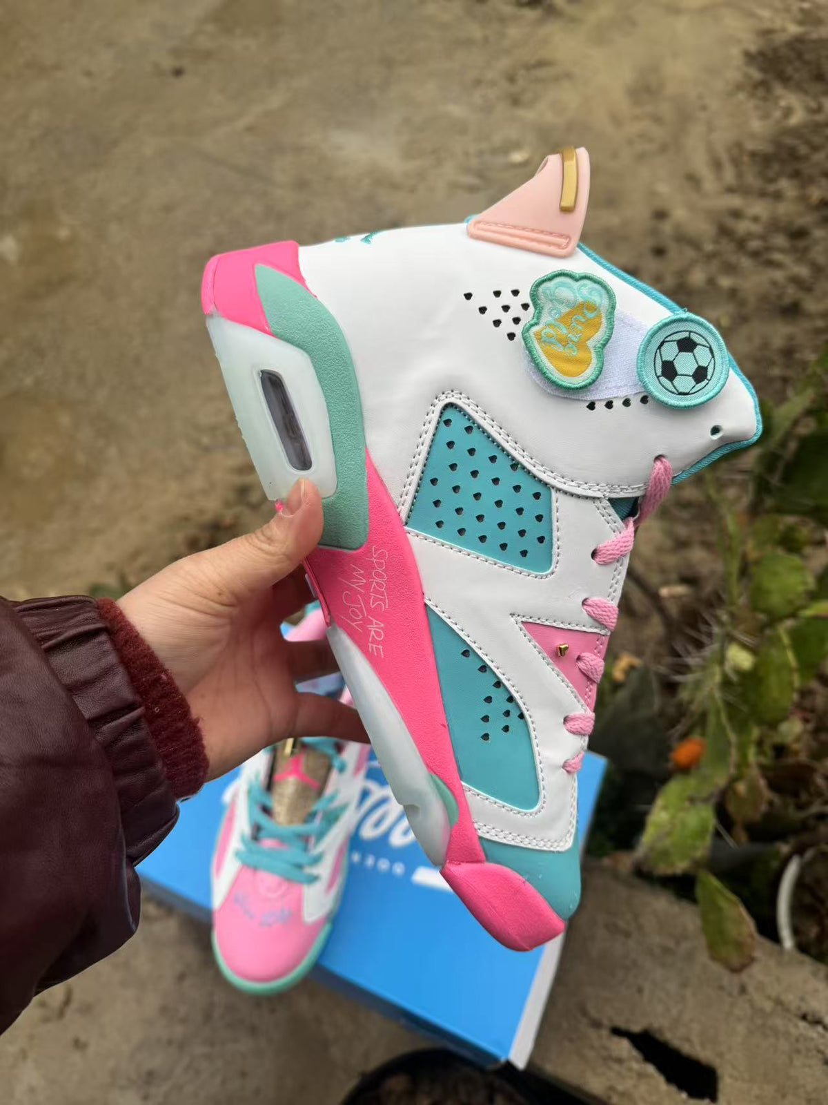 Air Jordan 6 Retro Blue‑Pink